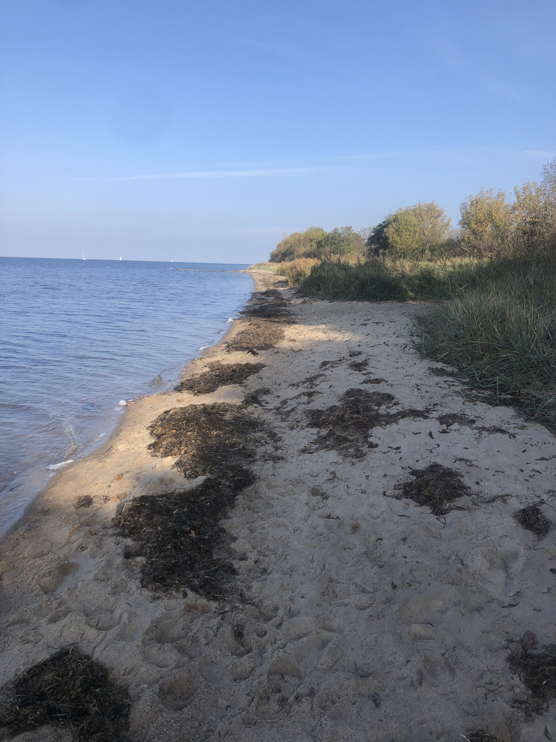 Sonne, Wind und Wasser – Wenn nordisches Design auf fernöstliche Energie trifft